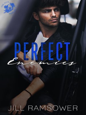 cover image of Perfect Enemies
